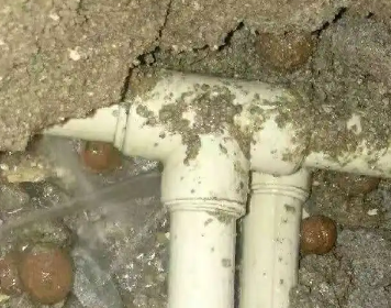 斗门测漏水多少钱