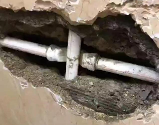 斗门测漏水哪家好