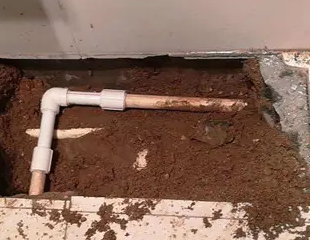 斗门测漏水哪家好