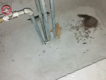 斗门卫生间测漏水价格明细