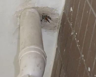 斗门漏水检测哪家好